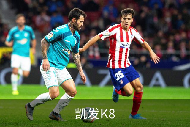 凯发K8公司介绍图